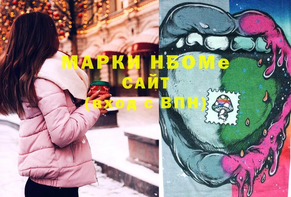 соль ск Пересвет